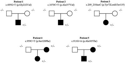 Insights into cognitive and behavioral comorbidities of SLC6A1-related epilepsy: five new cases and literature review